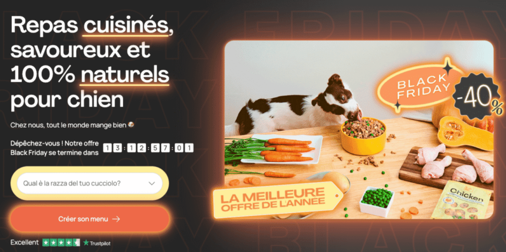 Capture d'écran d'une page de campagne Black Friday Dogfy Diet